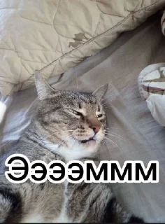 🦥 emoji Я сру Telegram sticker 24 of 63