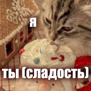 😋 emoji ЖЮ 🧡 Видео НГ @lifeyt Telegram sticker 5 of 89