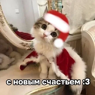 🌟 emoji ЖЮ 🧡 Видео НГ @lifeyt Telegram sticker 15 of 89