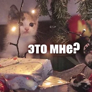 🥹 emoji ЖЮ 🧡 Видео НГ @lifeyt Telegram sticker 19 of 89