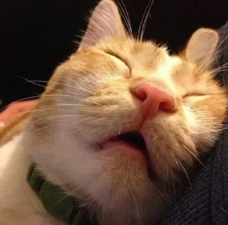 🧖‍♂️ emoji ЖЮ Видео 🧡 Фотопак | @Lifeyt Telegram sticker 18 of 37