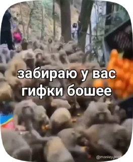 🌟 emoji пон и обезьянки Telegram sticker 11 of 50