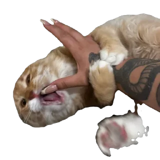 Sticker from феня