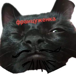 🐱 emoji буська вайб Telegram sticker 12 of 37
