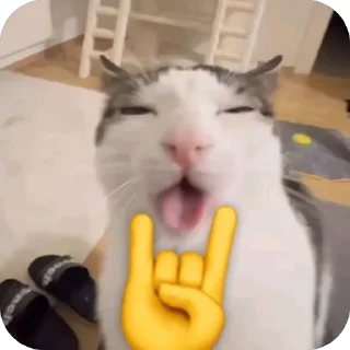 🫥 emoji meowarechka;) Telegram sticker 24 of 120