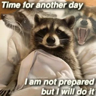 🦝 emoji raccoon core Telegram sticker 7 of 12