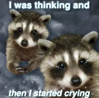 🦝 emoji raccoon core Telegram sticker 12 of 12
