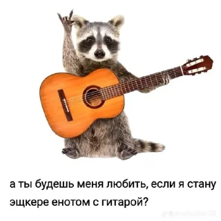 🦝 emoji енотики🤍 :: @Imaaamber Telegram sticker 24 of 120