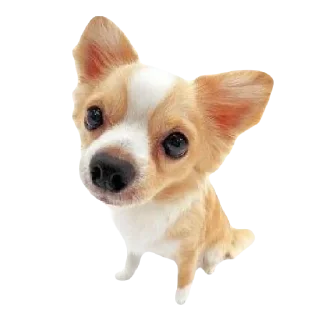🌟 emoji смешнявкины :: @swetstick Telegram sticker 5 of 10