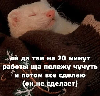 🌟 emoji Больше хорьков богу хорьков Telegram sticker 8 of 120