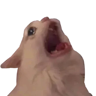 🌟 emoji ещё стики - @maudview Telegram sticker 13 of 54