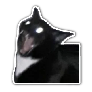 😨 emoji Котятя Telegram sticker 12 of 16