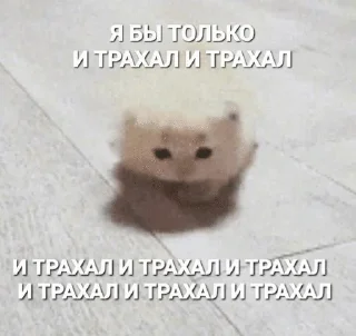 Sticker from 3 стикерпак ужасссс