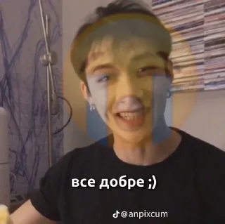 🥲 emoji Бан Крисстофер Чан ❤️✨🌸 Telegram sticker 9 of 88