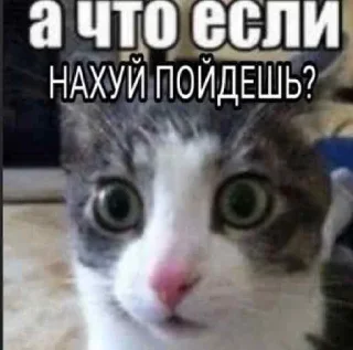 🖕 emoji Сборище стиков Катьки Telegram sticker 18 of 37