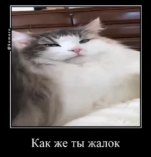 😐 emoji Пламя-стики❤️‍🔥 (4) @Komaru Telegram sticker 19 of 50
