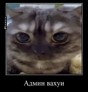 😳 emoji Пламя-стики❤️‍🔥 (5) @Komaru Telegram sticker 9 of 50