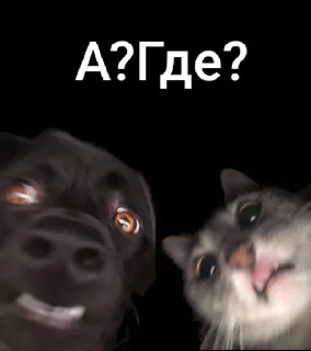 🌟 emoji Стикеры от марфуши💘 Telegram sticker 9 of 11