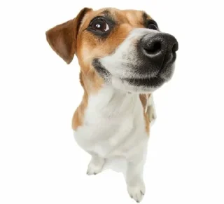 😁 emoji @tashiny ар ю тайред Telegram sticker 18 of 59