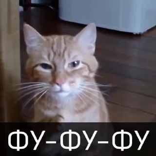 🤮 emoji БОЛЬШЕ ⇨ @CLOOBHUB КОТЫ КОТИКИ СТИКЕРЫ ТГ МЕМЫ МГА Telegram sticker 15 of 46