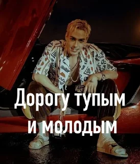 🌟 emoji Богречины Telegram sticker 15 of 32