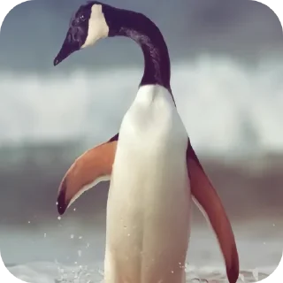 ♠ emoji Руслан вроде. Telegram sticker 7 of 39