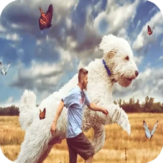 ♠ emoji Руслан вроде. Telegram sticker 16 of 39
