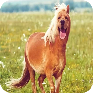 ♠ emoji Руслан вроде. Telegram sticker 9 of 39