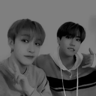 🐟 emoji >> han & chan >> 𝑏𝑦 @gdzpohimii Telegram sticker 8 of 17