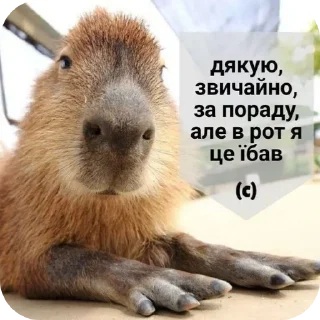 😒 emoji Для справжніх чоловіків @Xenta Telegram sticker 13 of 75