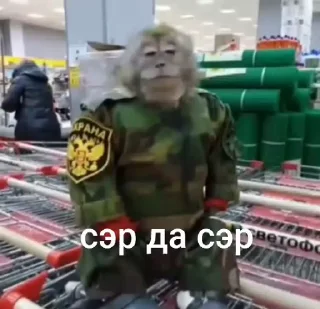🤩 emoji Бибизянки Сигмы и Фогло Telegram sticker 5 of 81