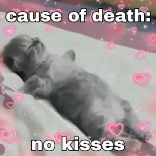 🥺 emoji булки :3 @anisk3 Telegram sticker 22 of 29