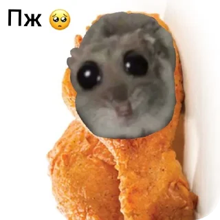 🥺 emoji Курка Telegram sticker 14 of 16