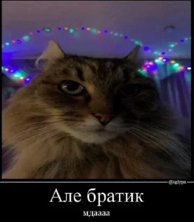 🙄 emoji ляля Telegram sticker 2 of 38