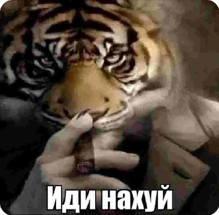🌟 emoji мемасики Telegram sticker 23 of 59