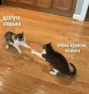 🥐 emoji письки продолжение Telegram sticker 13 of 88