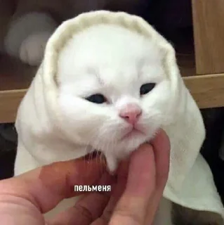 🥐 emoji письки продолжение Telegram sticker 10 of 88