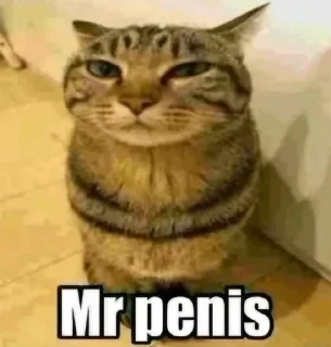 😏 emoji письки продолжение Telegram sticker 16 of 88