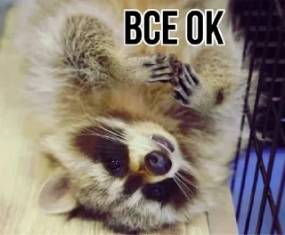 🌟 emoji Еношки Бумбошки Telegram sticker 12 of 60