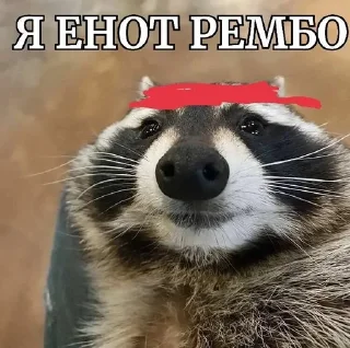 😎 emoji енотеки брадочки😎 Telegram sticker 6 of 43