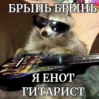 🎸 emoji енотеки брадочки😎 Telegram sticker 18 of 43