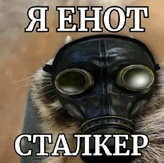 ☢️ emoji енотеки брадочки😎 Telegram sticker 23 of 43