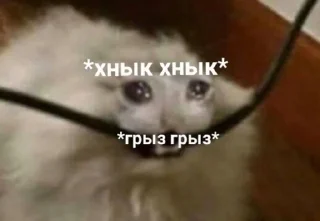 Sticker from @безназвания