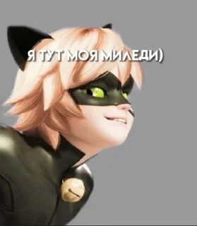 😼 emoji леди баг и супер кот😼🐞 Telegram sticker 19 of 49