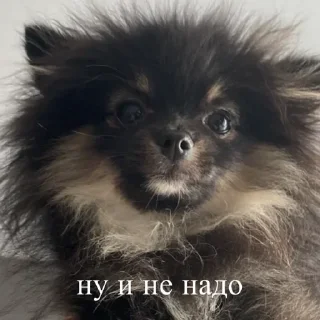 🦔 emoji Ступка Telegram sticker 11 of 20