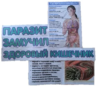 💩 emoji За головки 2 Telegram sticker 17 of 120