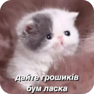 Sticker from ми за бдсм 2