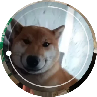 🌟 emoji аааааа Telegram sticker 12 of 19