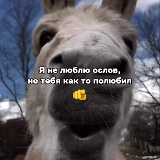 ❤ emoji Хуй на лодочке :: @QstickBot Telegram sticker 14 of 24