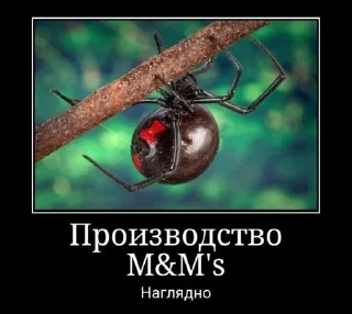 😜 emoji ДЕНЬ ПАУКОВ И ГУБКИ БОБА🤩 /от Telegram sticker 12 of 30